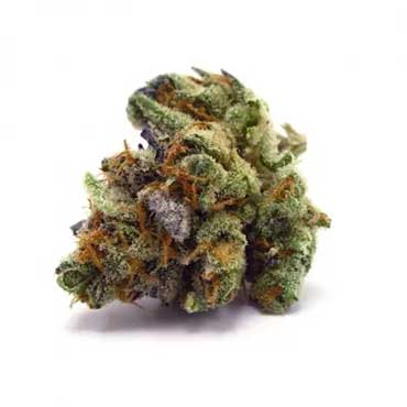Purple Haze