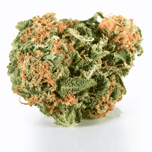 Pineapple Haze