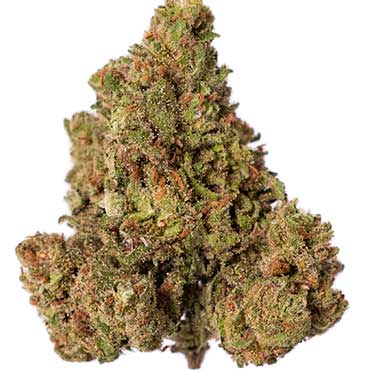 Jack Herer